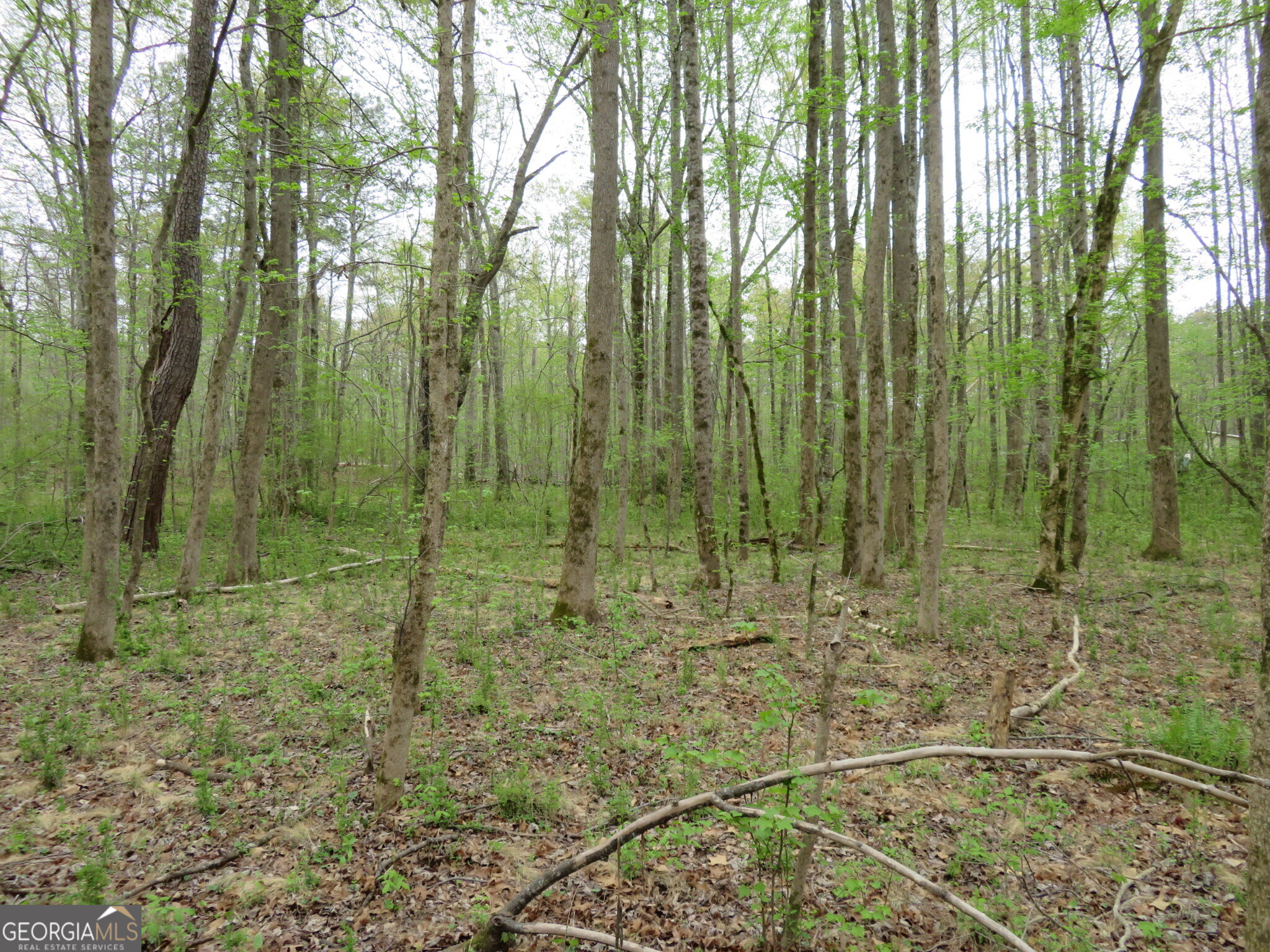 0 Oak Road Jenkinsburg, GA 30234 - Photo 13 of 18