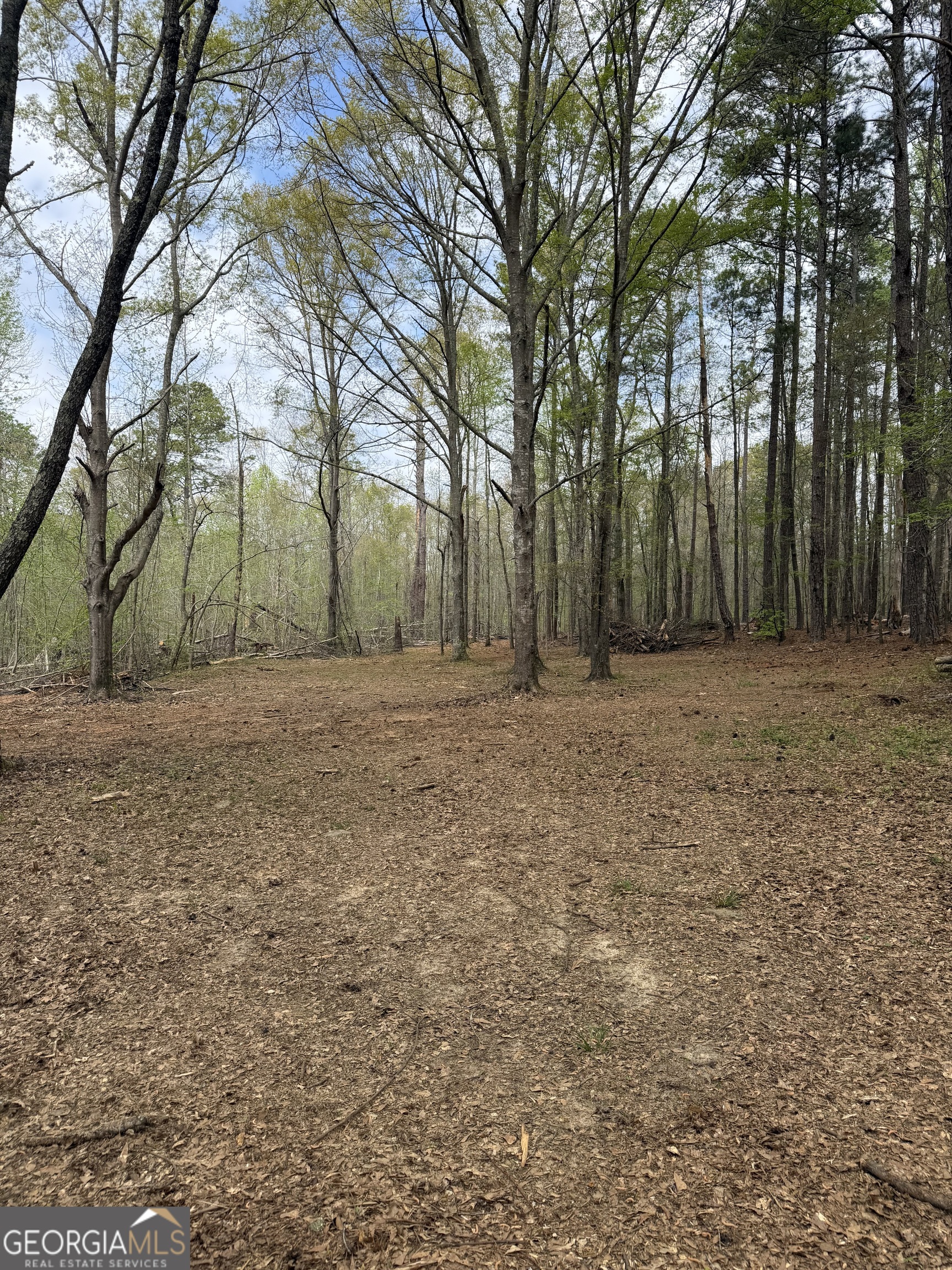 0 Oak Road Jenkinsburg, GA 30234 - Photo 14 of 18