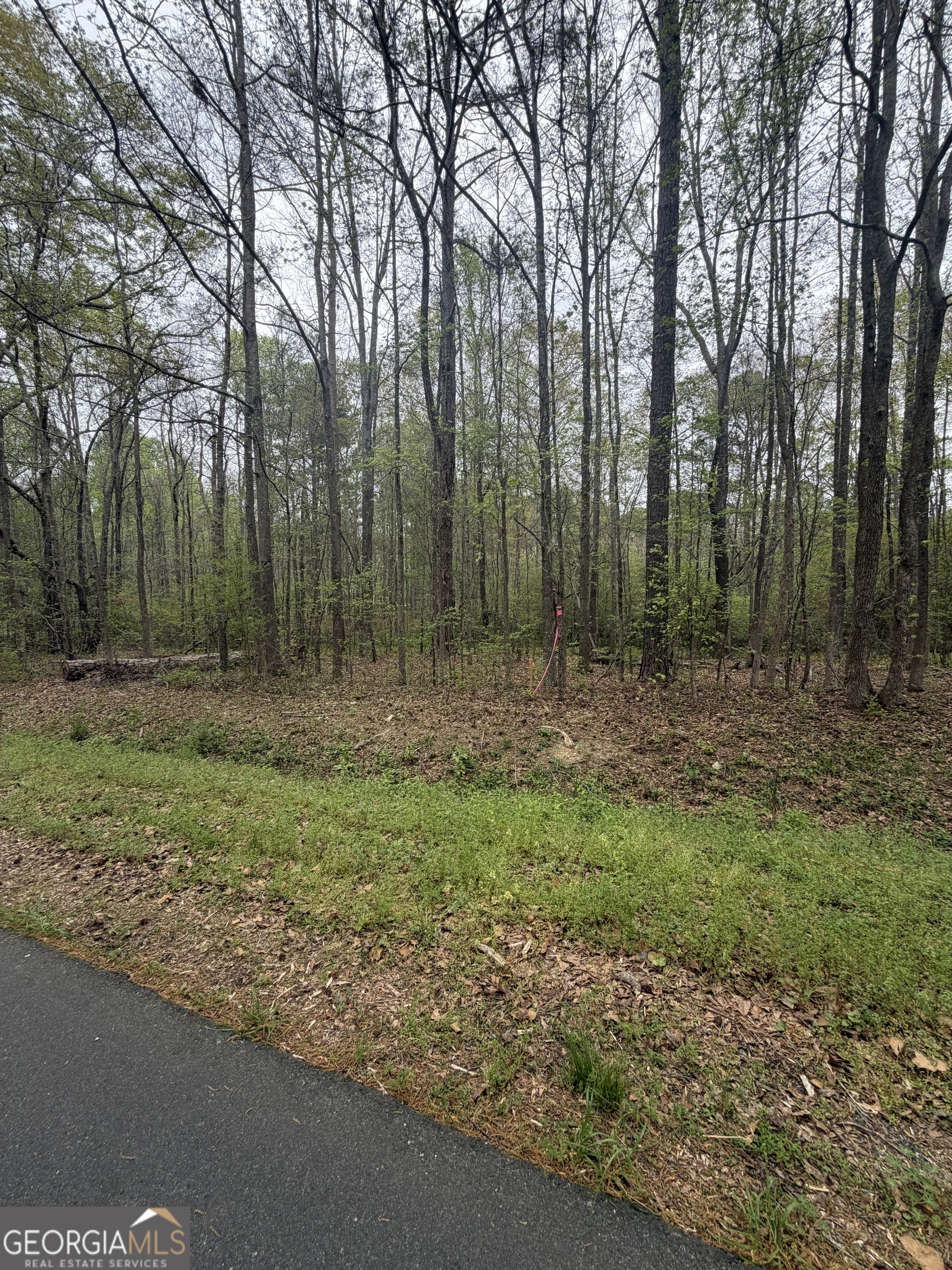 0 Oak Road Jenkinsburg, GA 30234 - Photo 16 of 18