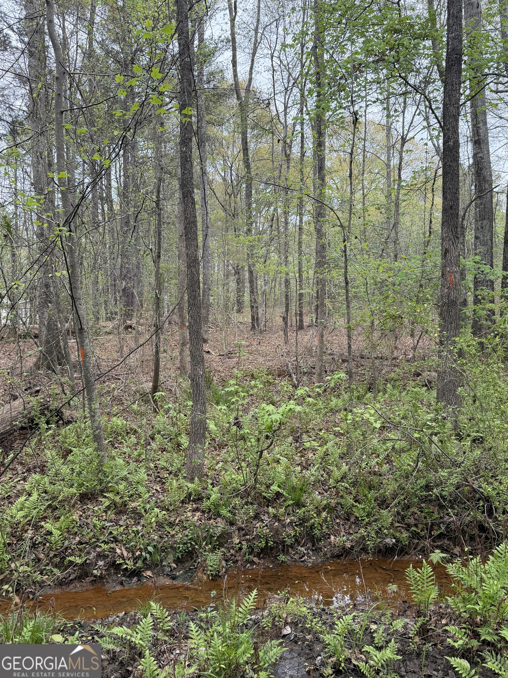 0 Oak Road Jenkinsburg, GA 30234 - Photo 17 of 18