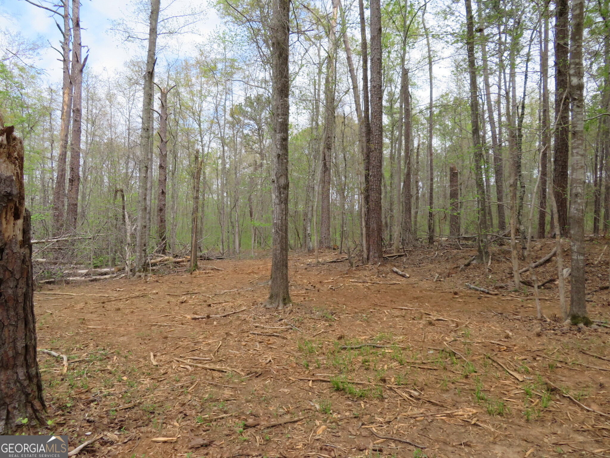 0 Oak Road Jenkinsburg, GA 30234 - Photo 3 of 18