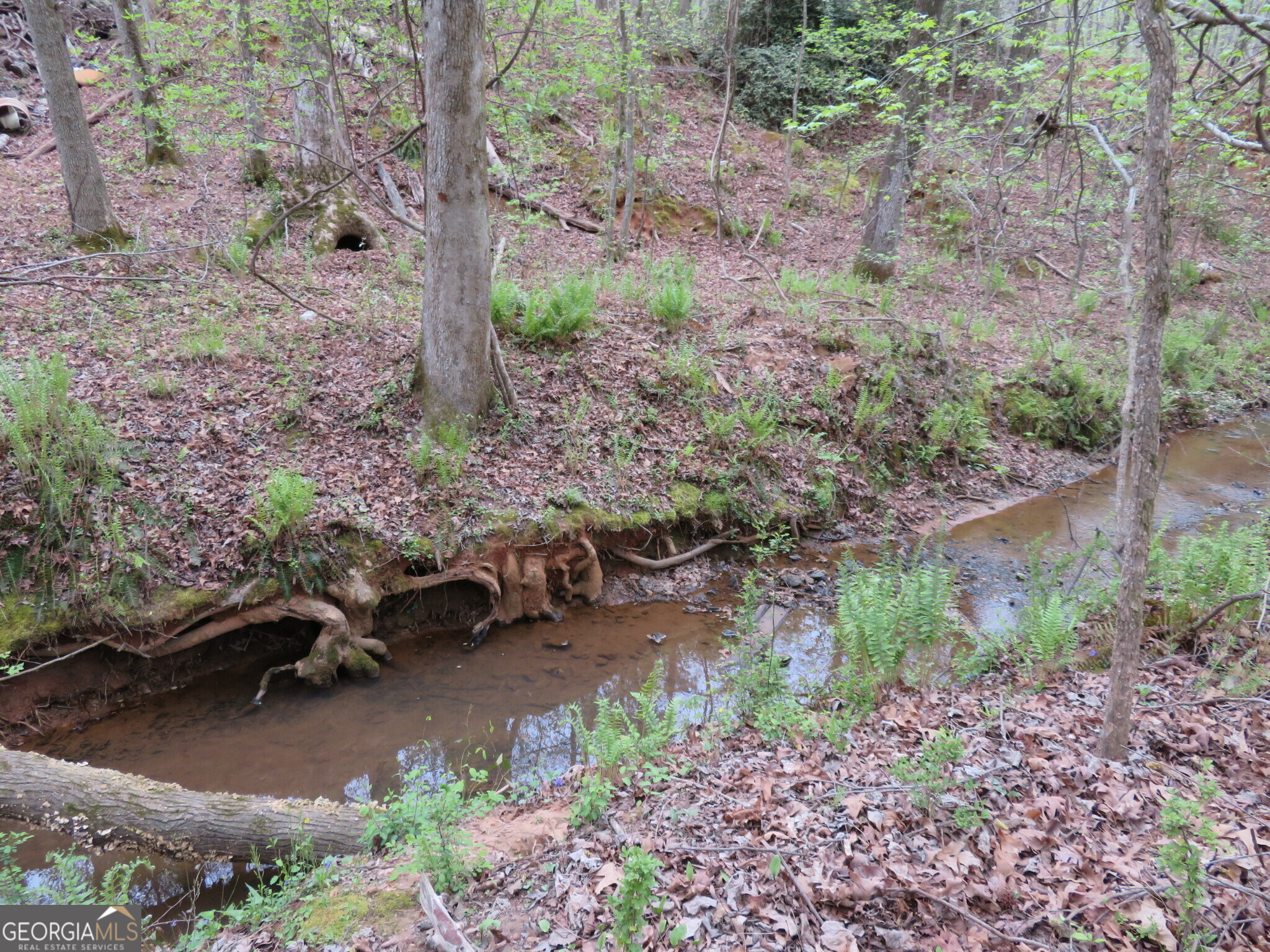 0 Oak Road Jenkinsburg, GA 30234 - Photo 4 of 18