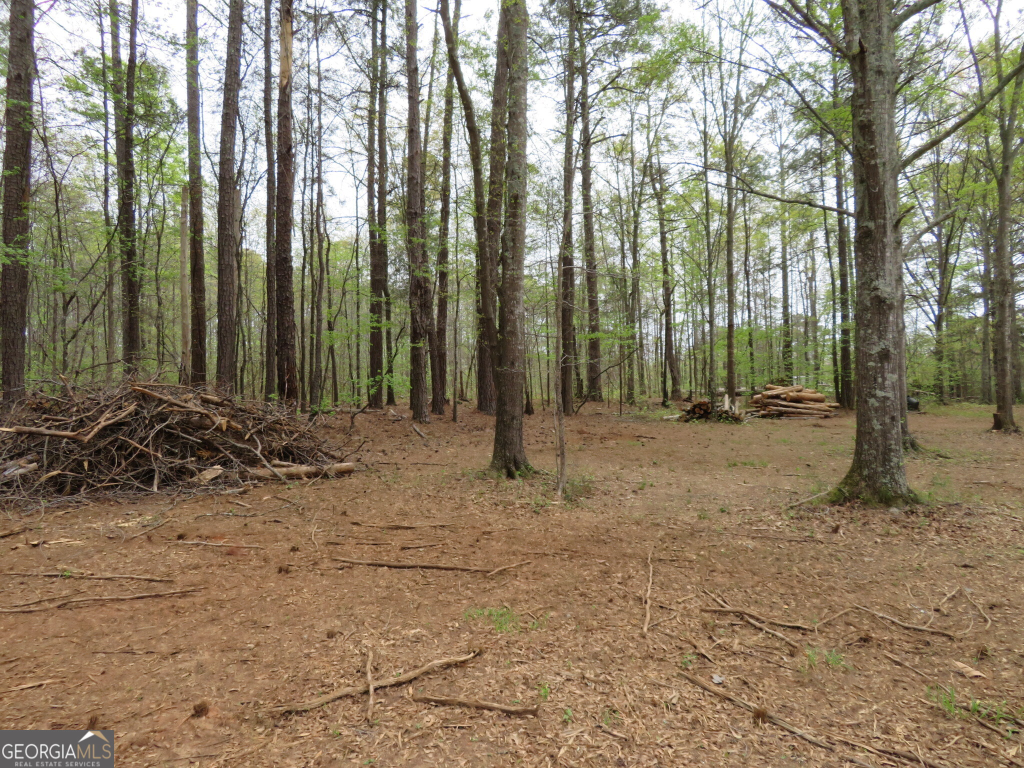 0 Oak Road Jenkinsburg, GA 30234 - Photo 5 of 18