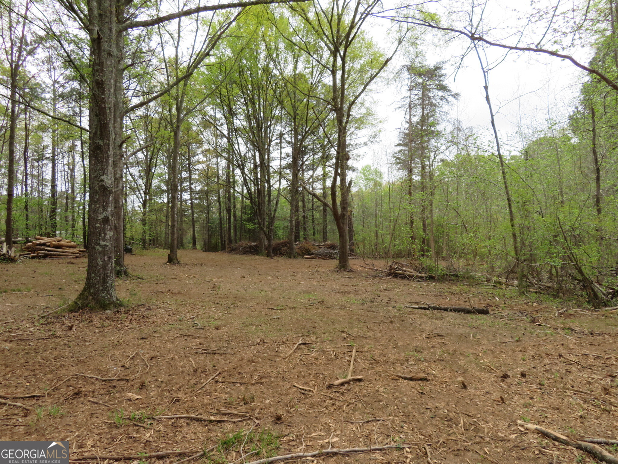 0 Oak Road Jenkinsburg, GA 30234 - Photo 6 of 18