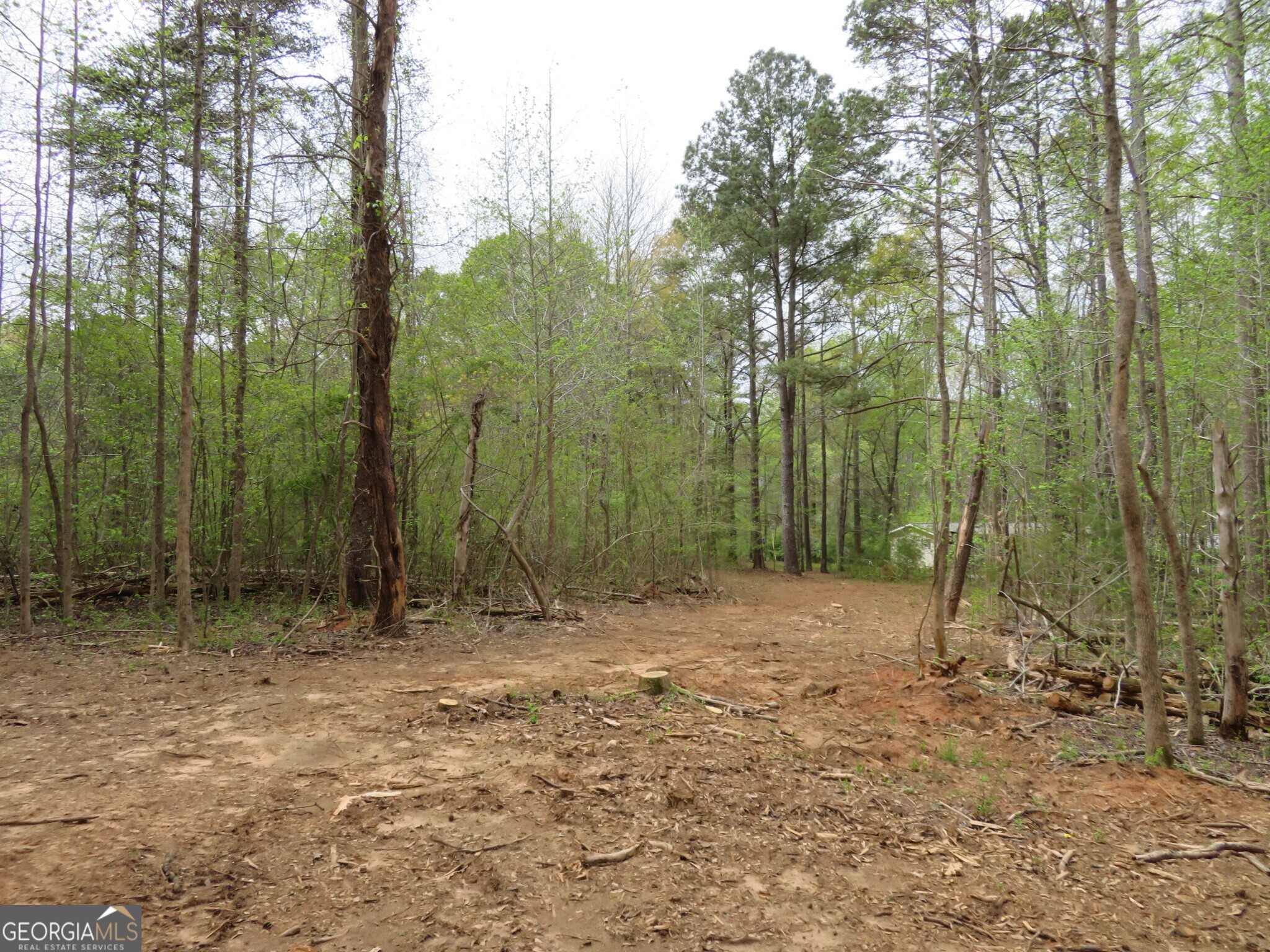 0 Oak Road Jenkinsburg, GA 30234 - Photo 7 of 18