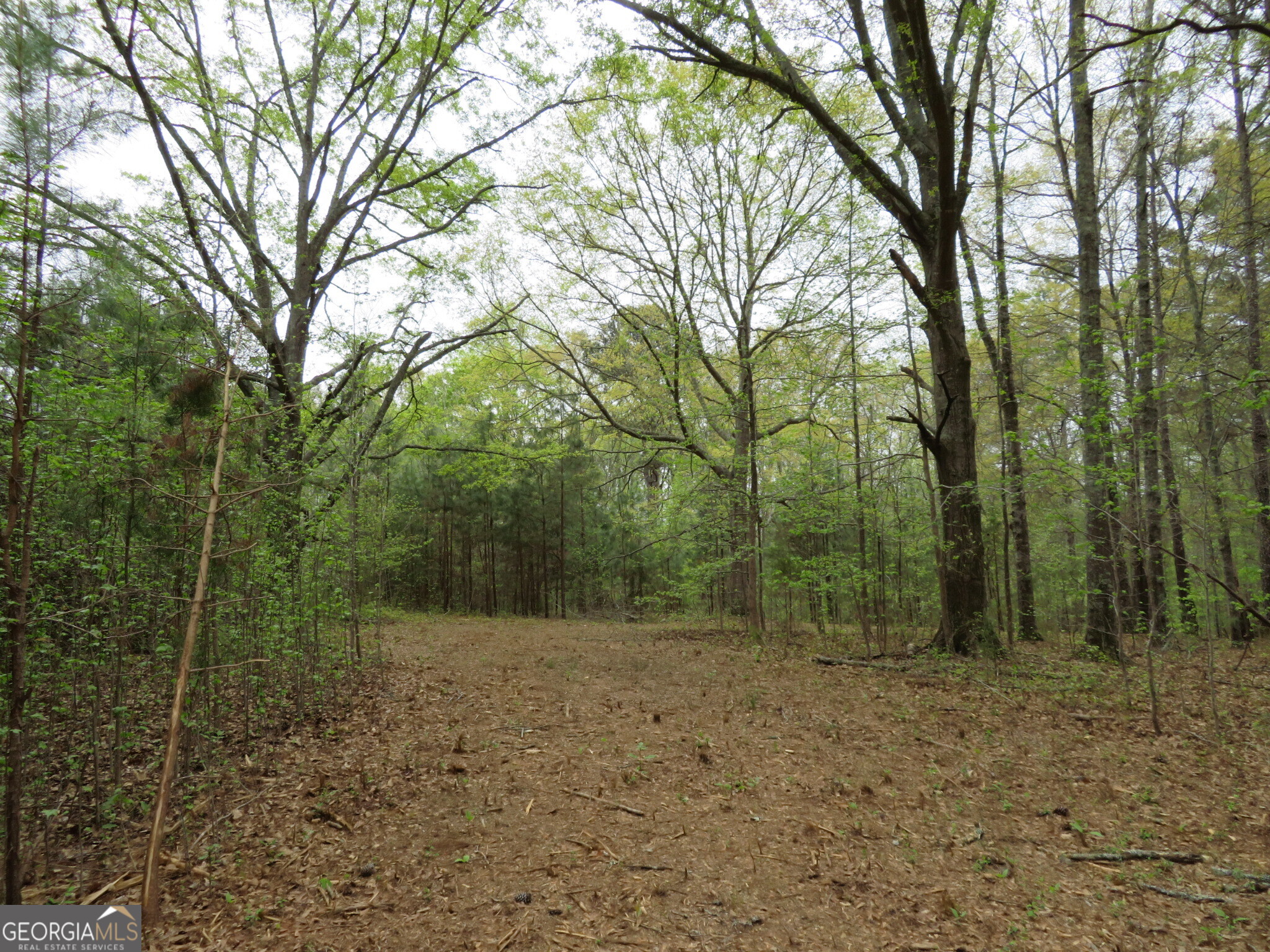 0 Oak Road Jenkinsburg, GA 30234 - Photo 8 of 18