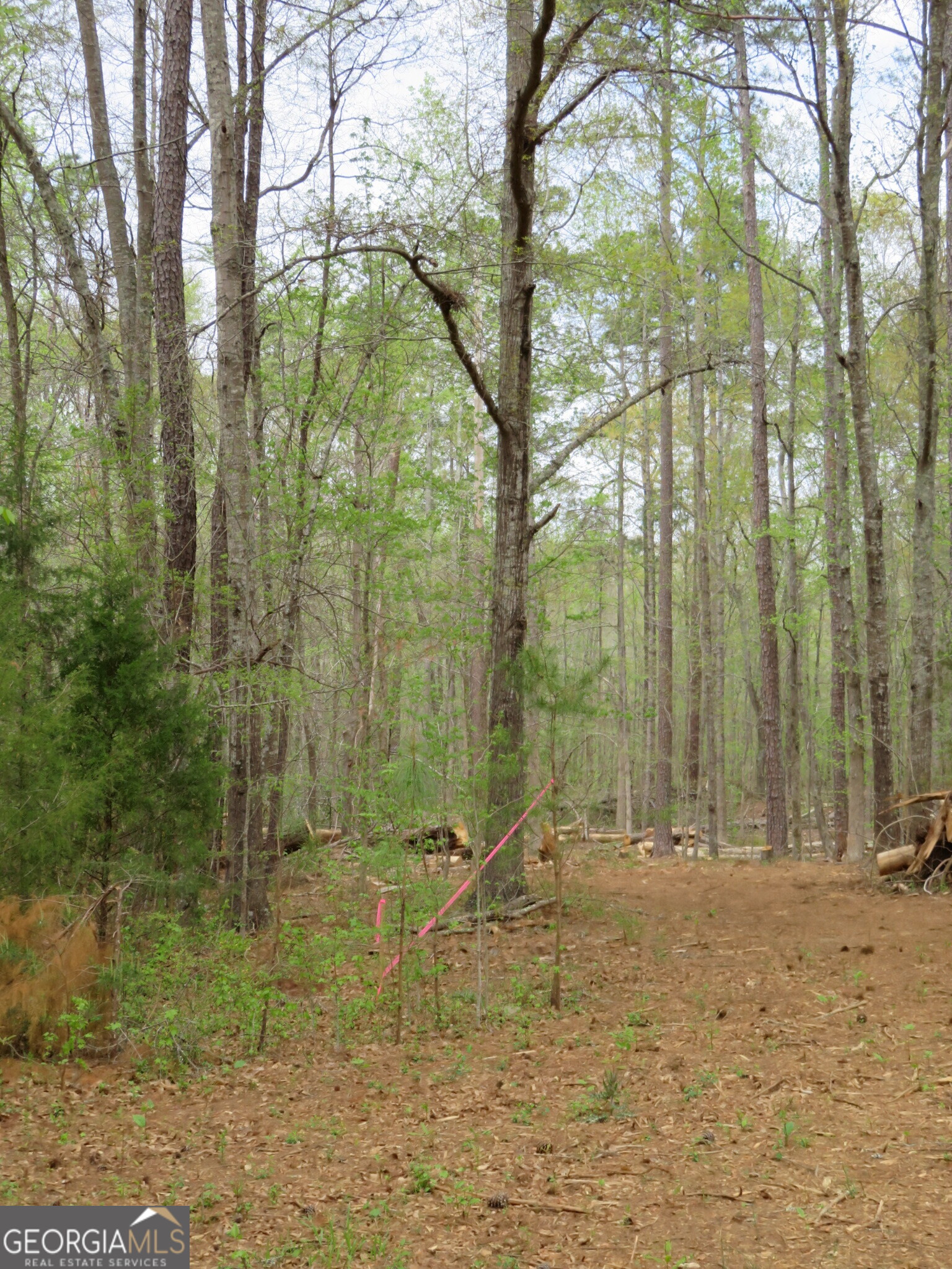 0 Oak Road Jenkinsburg, GA 30234 - Photo 9 of 18