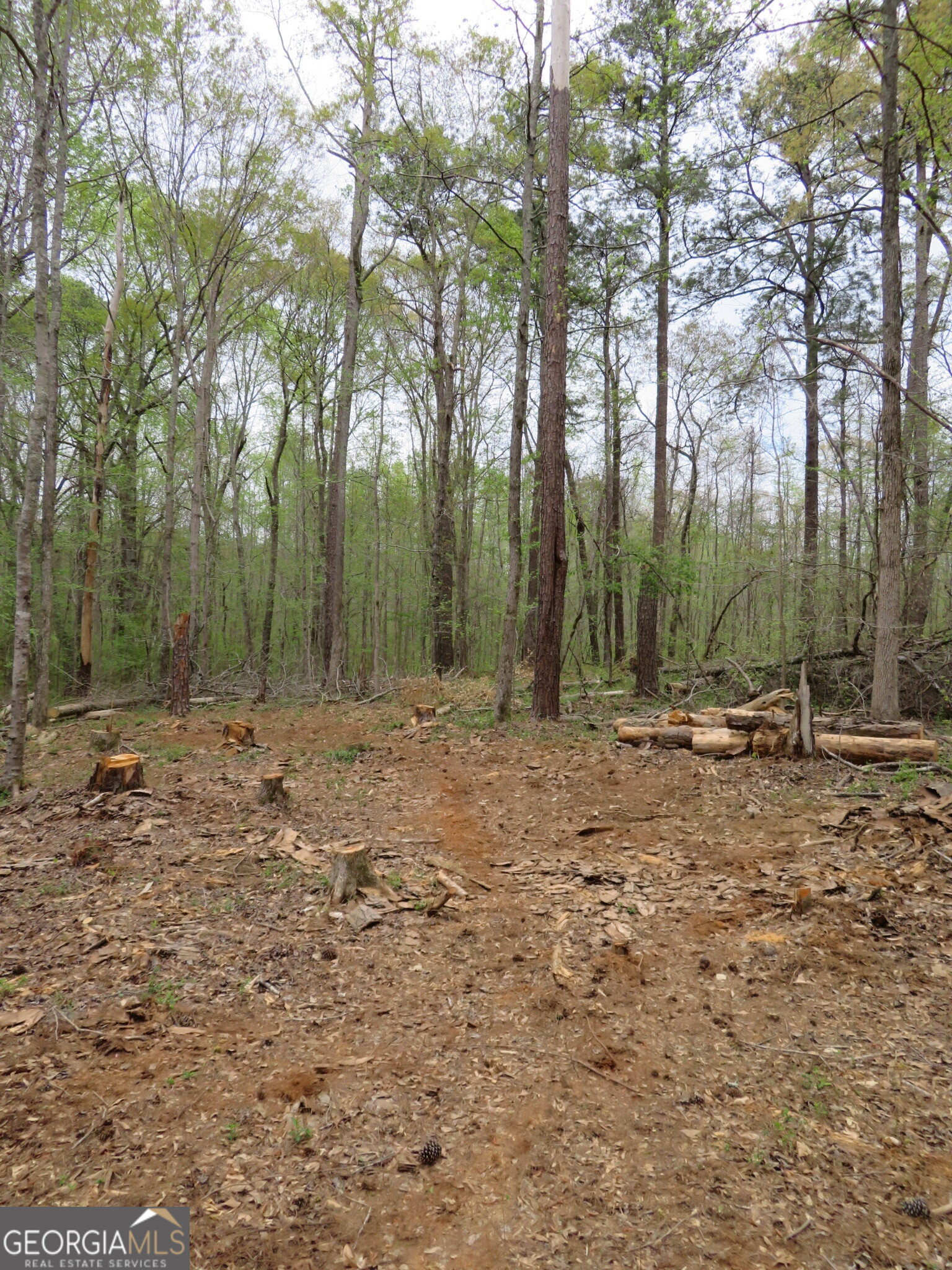 0 Oak Road Jenkinsburg, GA 30234 - Photo 10 of 18