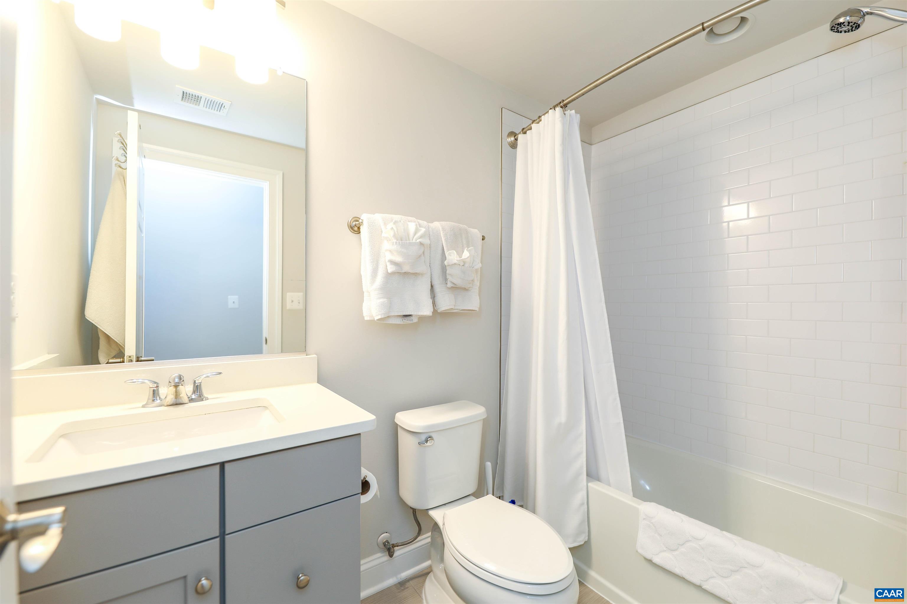 2483 Ferndown Lane Keswick, VA 22947 - Photo 43 of 54 a bathroom with a sink a toilet a mirror and shower