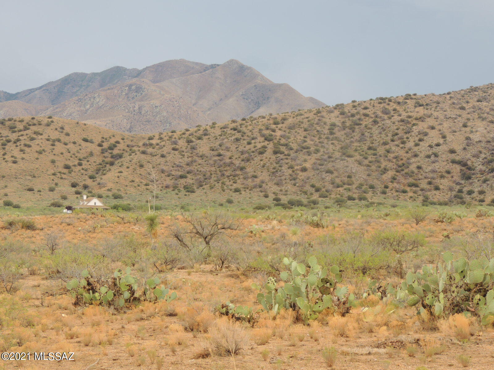 40.82 Acres Mulkins Ranch Road, Unit 11 Bowie, AZ 85605 - Photo 1 of 17