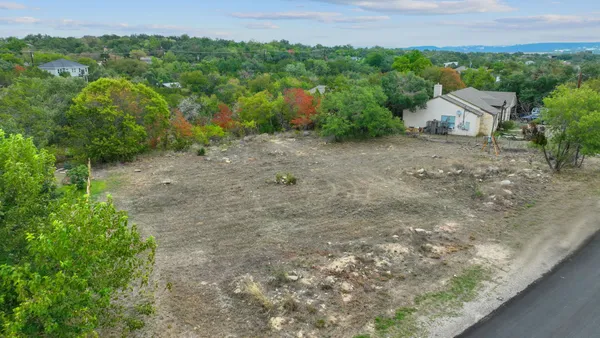 a view of a field with a tree
