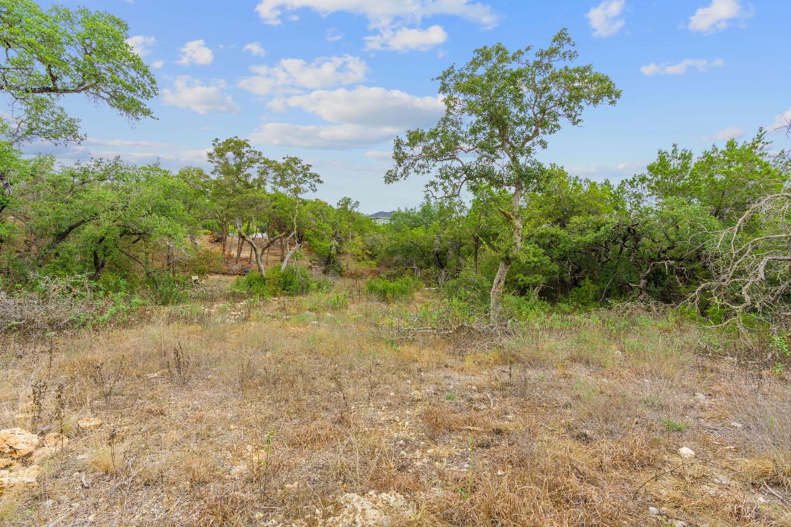 14500 Debba Drive Austin, TX 78734 - Photo 12 of 27 a view of a yard with plants and a bench
