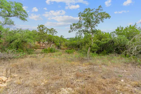 a view of a yard with plants and a bench