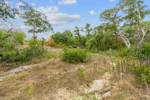 a view of a yard with plants and tree