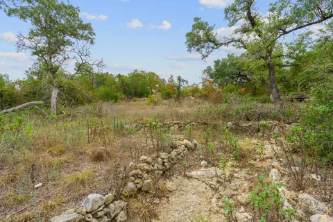 a view of a bunch of trees and bushes