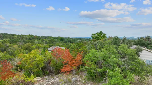 a view of a bunch of trees