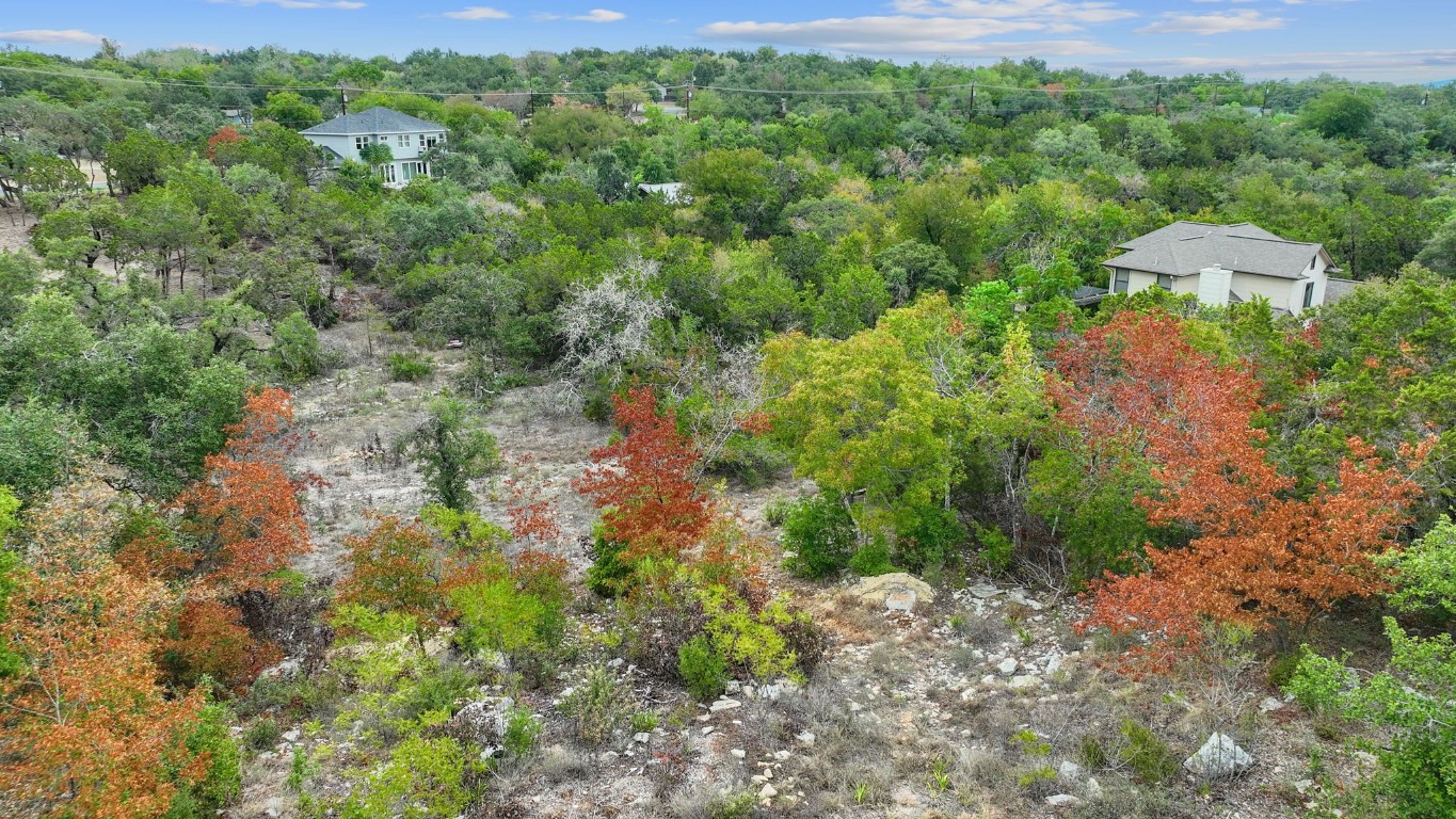 14500 Debba Drive Austin, TX 78734 - Photo 18 of 27 a view of a forest with a street