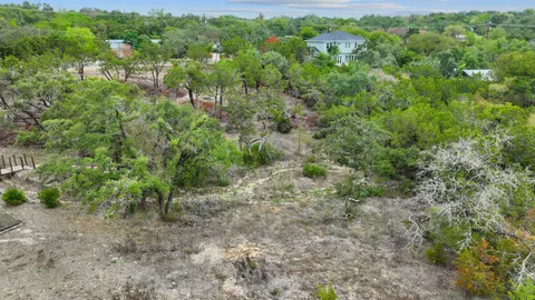 a view of a lush green forest with lots of trees