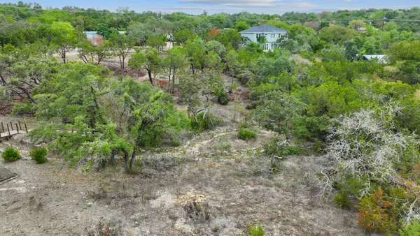 a view of a lush green forest with lots of trees