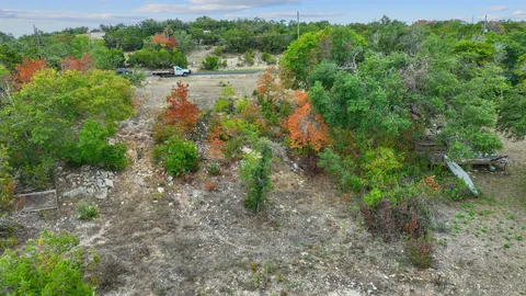 a view of a yard with a tree
