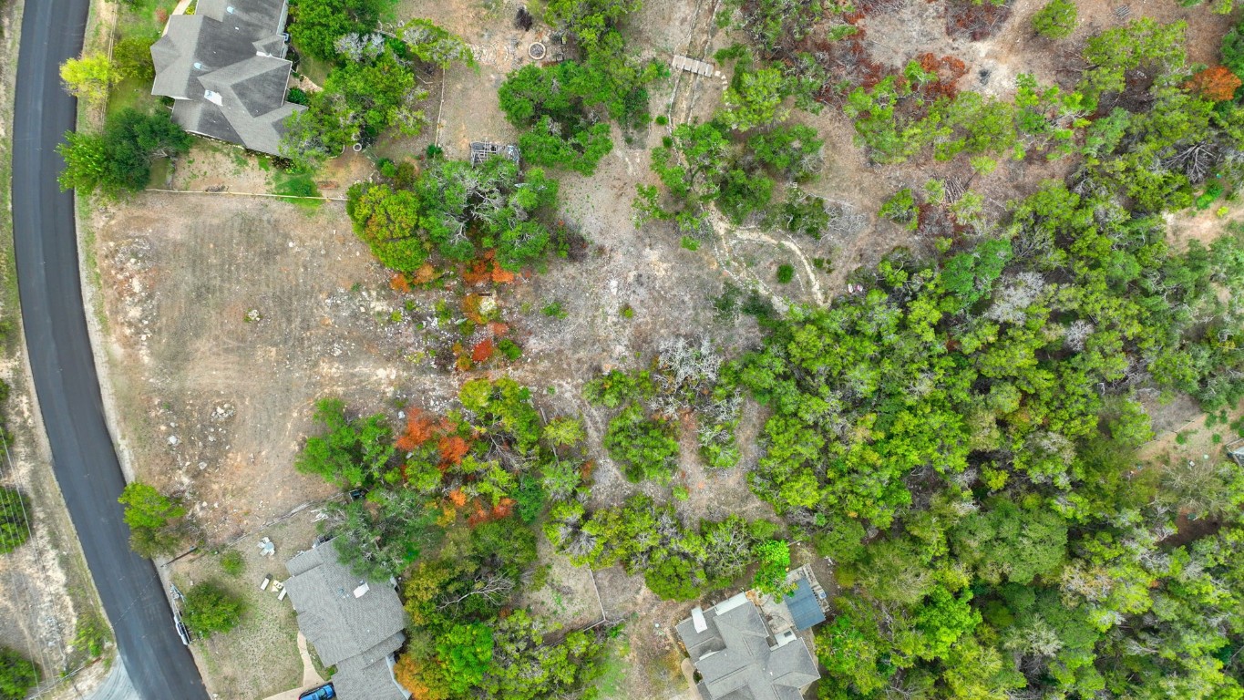 14500 Debba Drive Austin, TX 78734 - Photo 7 of 27 a close up of a plant in a garden