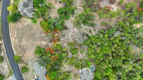 a close up of a plant in a garden