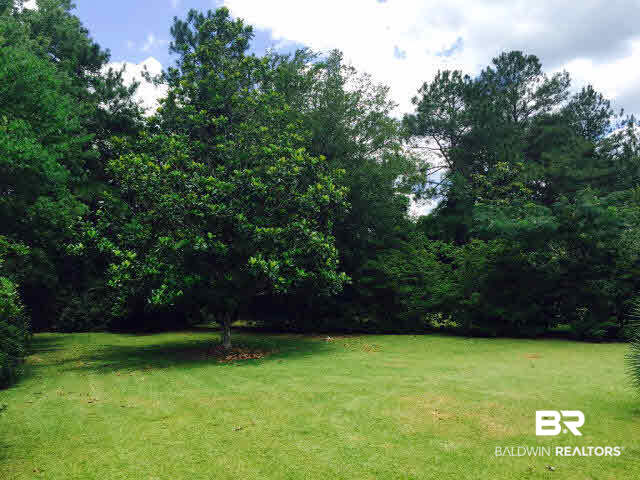 39660 Hannis Williams Road Bay Minette, AL 36507 - Photo 28 of 32 For Sale: 39660 Hannis Williams Road, Bay Minette, AL 36507 Yard