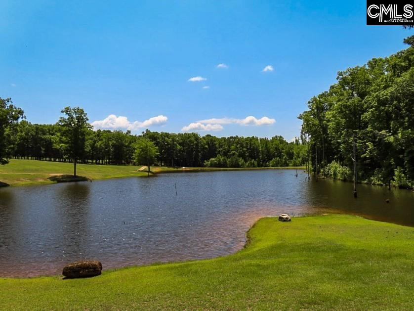 3296 Flat Rock Road Kershaw, SC 29067 - Photo 74 of 94