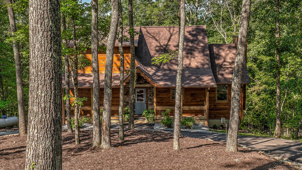 44 Windy Valley Lane Blue Ridge, GA 30513 - Photo 38 of 38