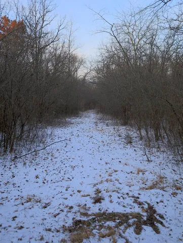 a view of a yard covered with snow