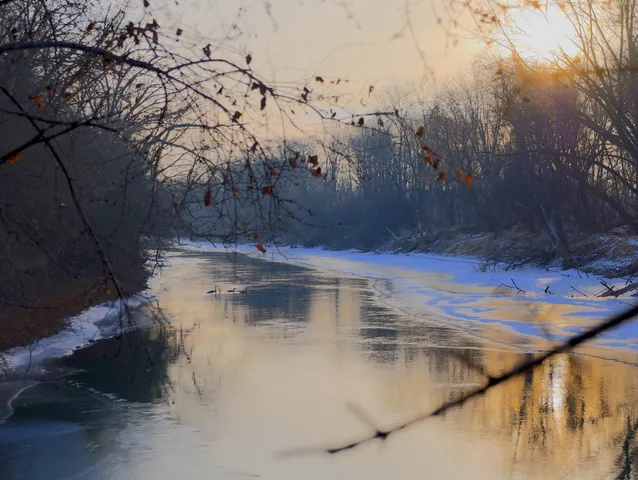 a view of a backyard of the house