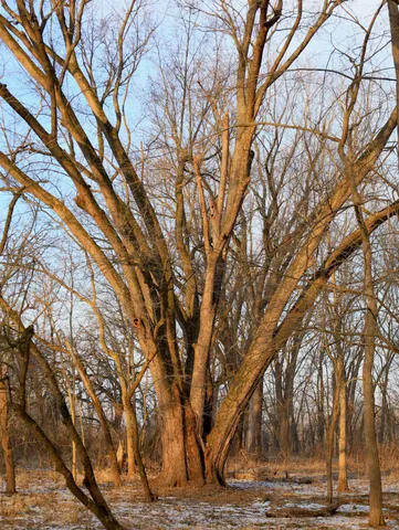 a view of outdoor space