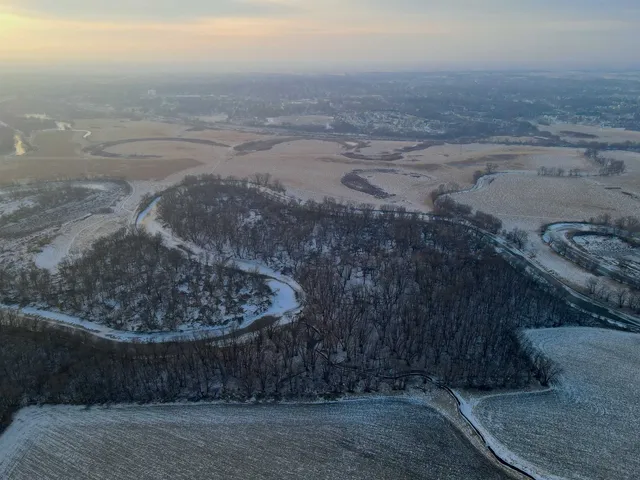 a view of a dry yard