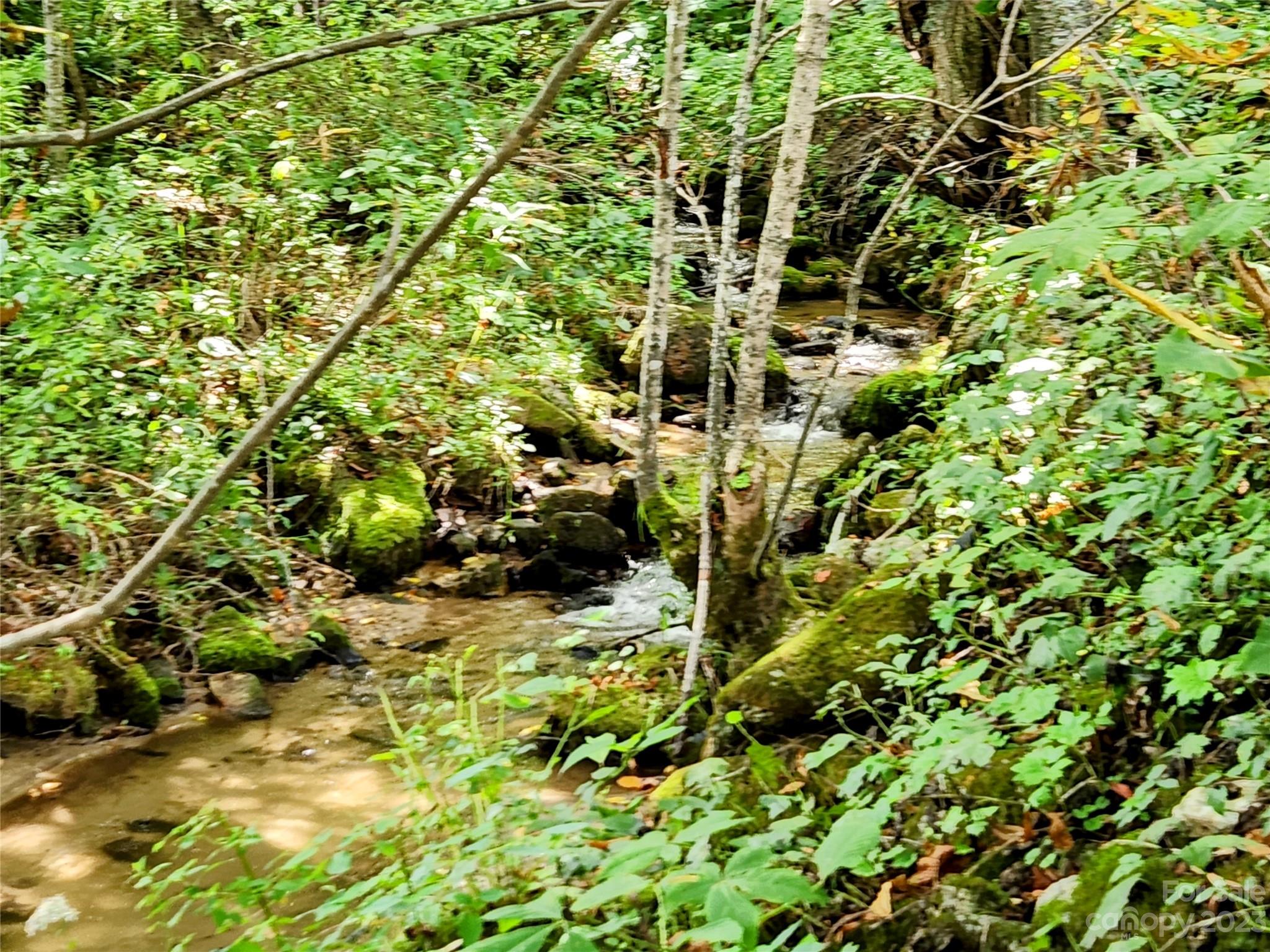 9999 South Fork Road Marshall, NC 28753 - Photo 5 of 13 Gallery Image 5
