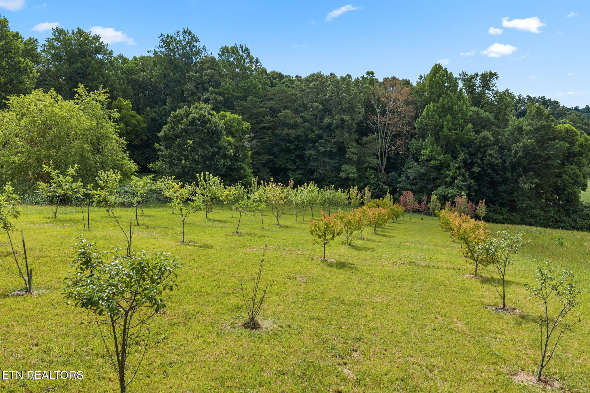 260 Long Hollow Road Clinton, TN 37716 - Photo 10 of 47 10-web-or-mls-620 Long Hollow-048