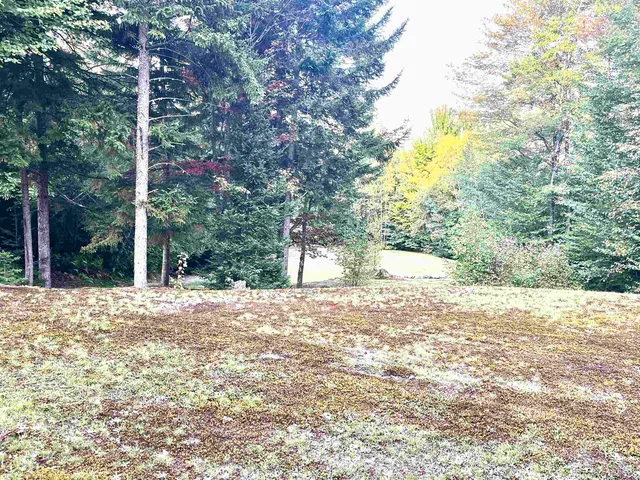 $225,000 | 0 Carmel Road, Westfield, VT 05874