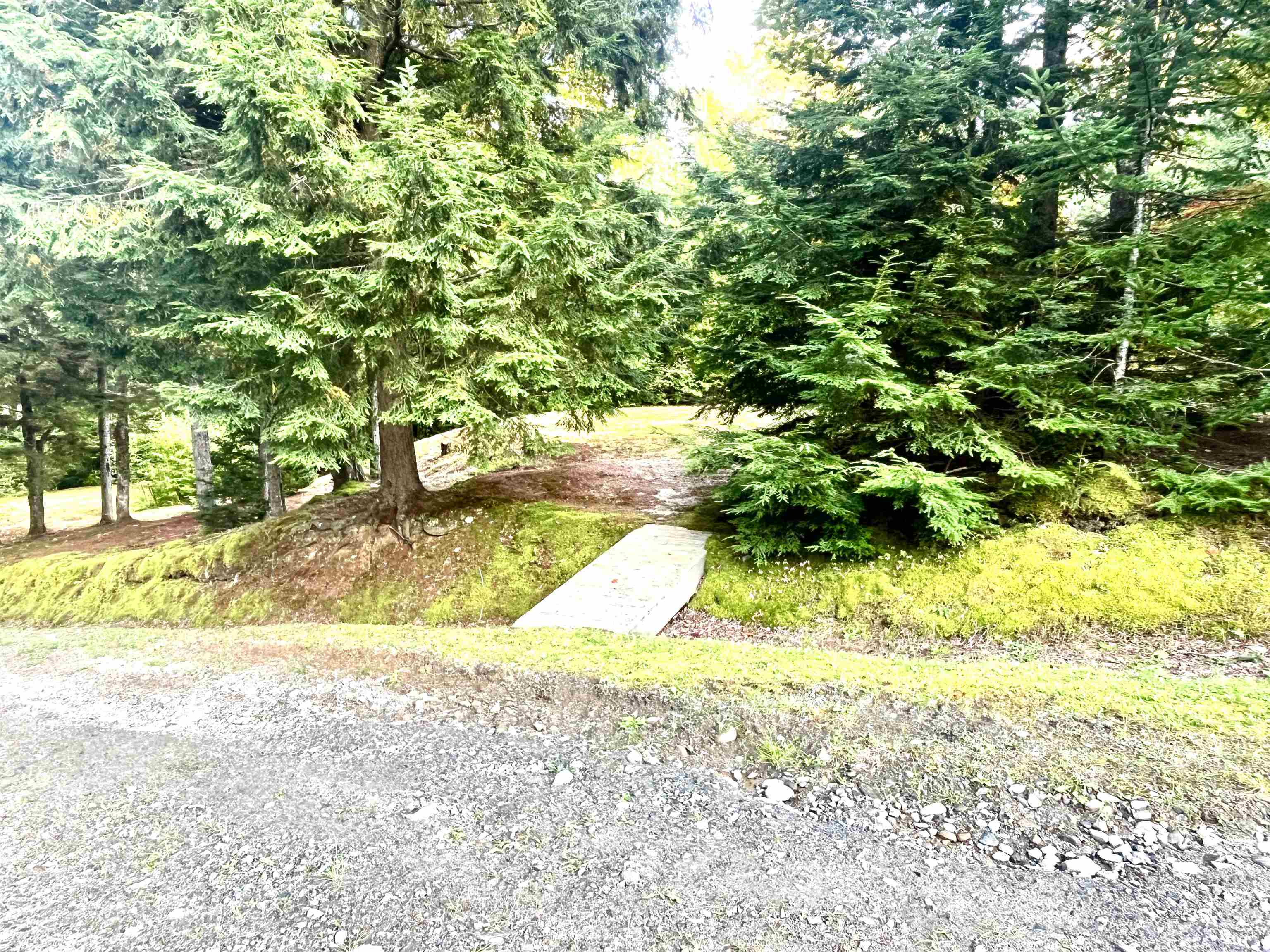 0 Carmel Road Westfield, VT 05874 - Photo 9 of 30