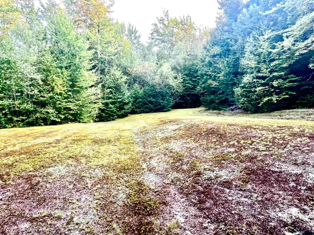 $225,000 | 0 Carmel Road, Westfield, VT 05874