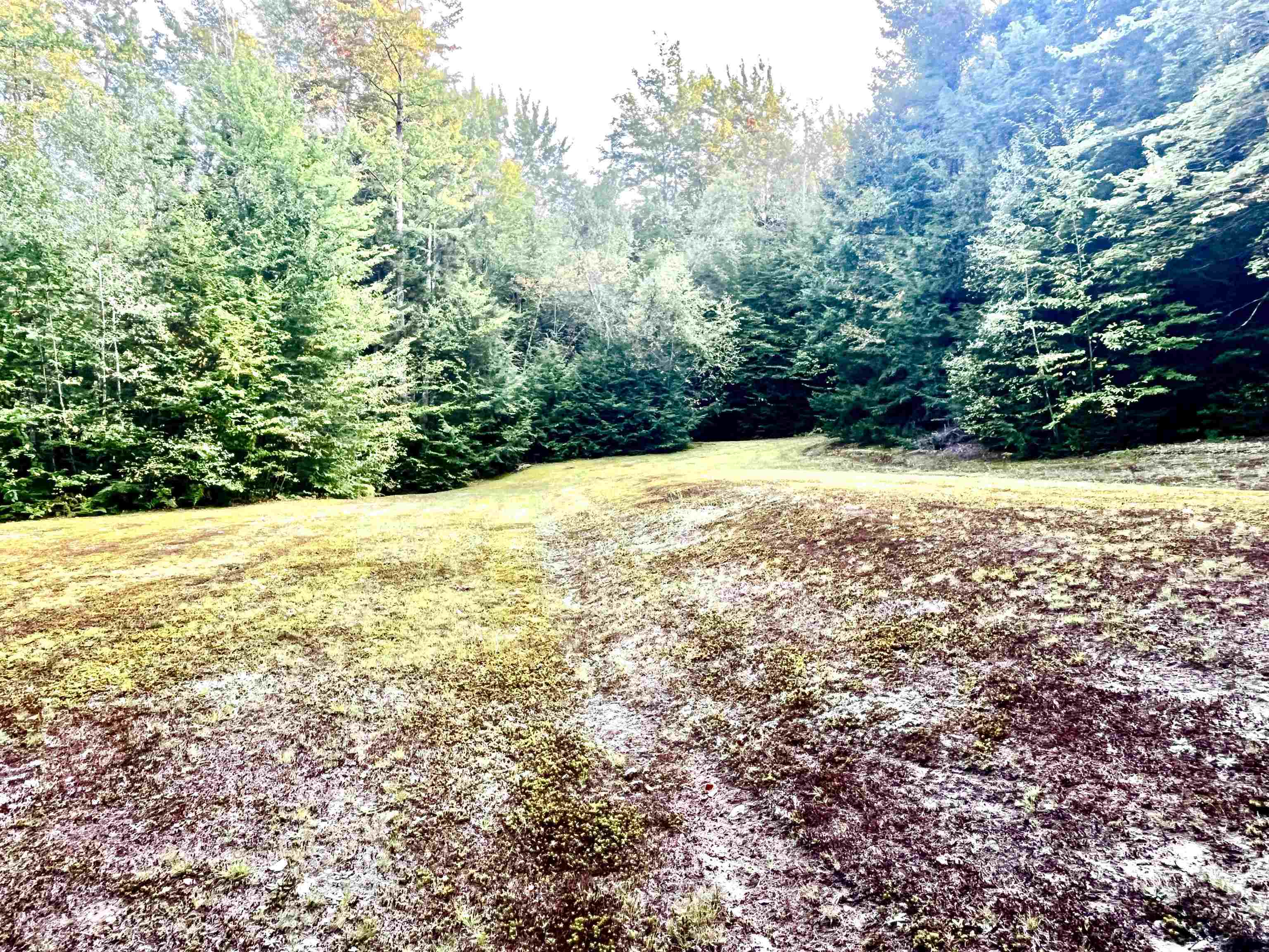 0 Carmel Road Westfield, VT 05874 - Photo 10 of 30