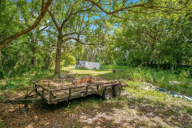 a view of a yard with large trees