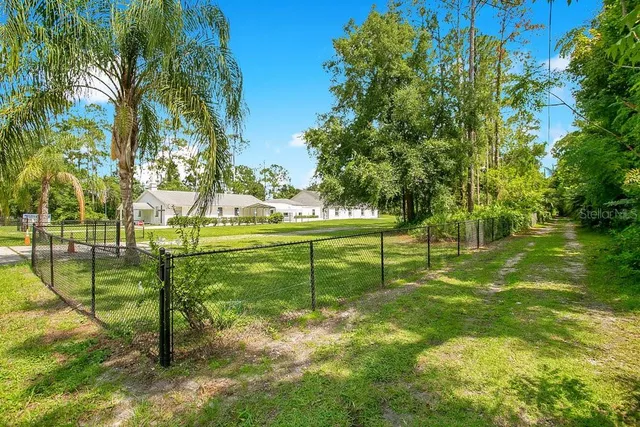 a view of a park with large trees