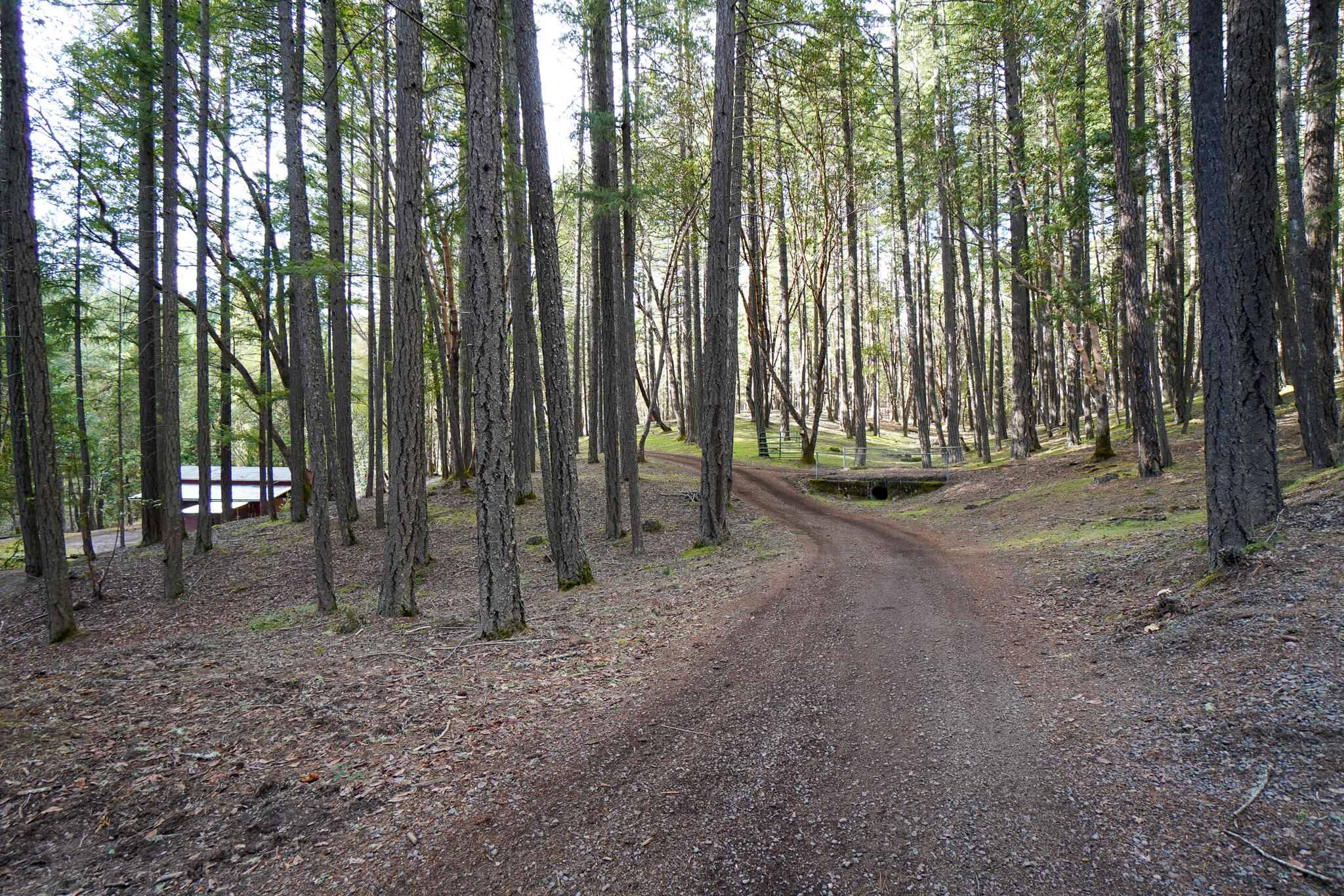 2675 Long Branch Road Eagle Point, OR 97524 - Photo 3 of 37 DSC02659