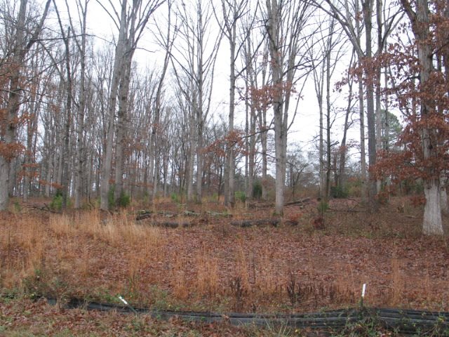 Lot #1-4 Concord Road Anderson, SC 29621 - Photo 1 of 1