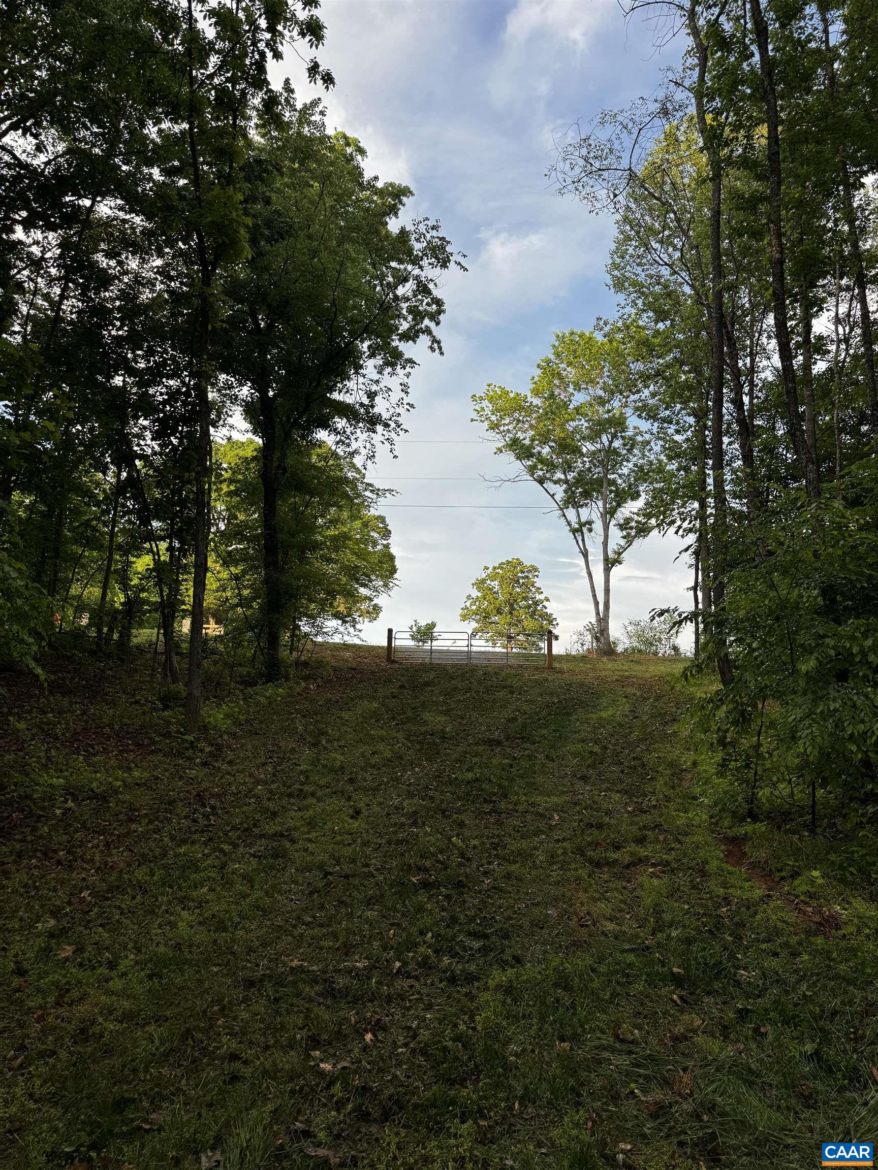 0 Fredericksburg Road Ruckersville, VA 22968 - Photo 9 of 11