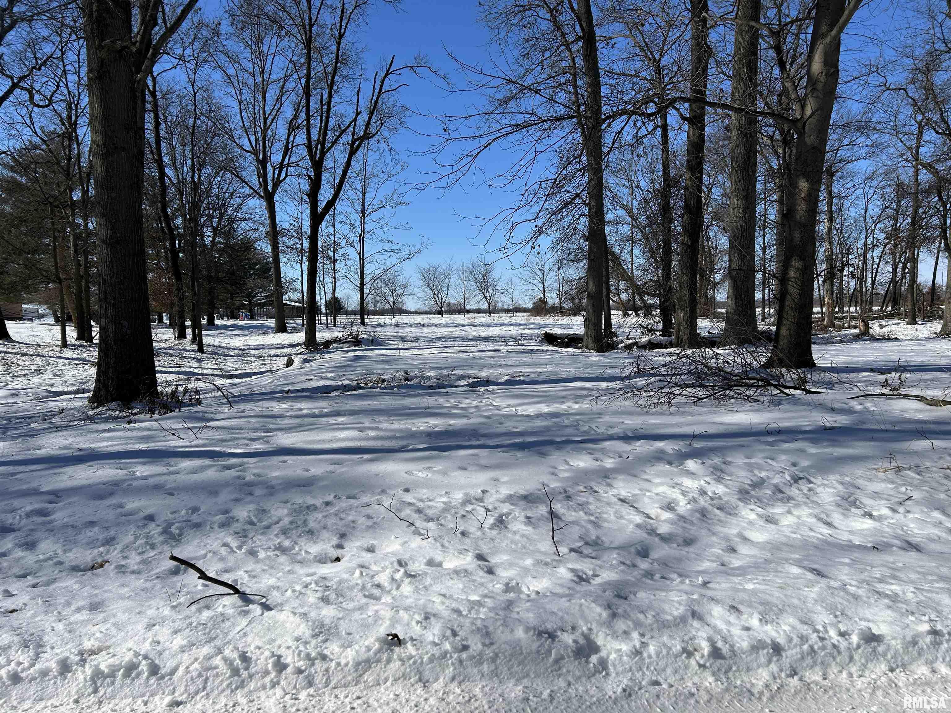 0 Hawthorn Road Salem, IL 62881 - Photo 4 of 5 Gallery Image 4