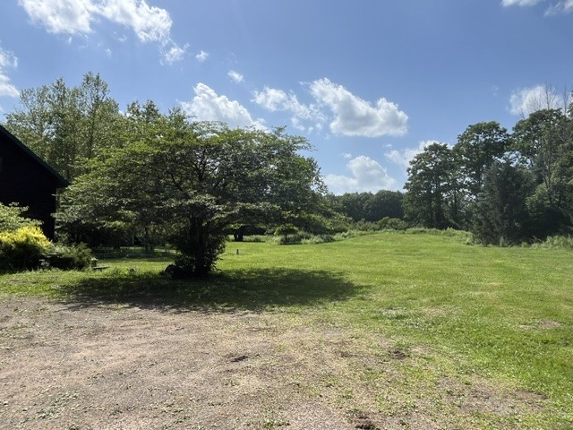 518 South Gilboa Road Gilboa, NY 12167 - Photo 19 of 32 front to side yard