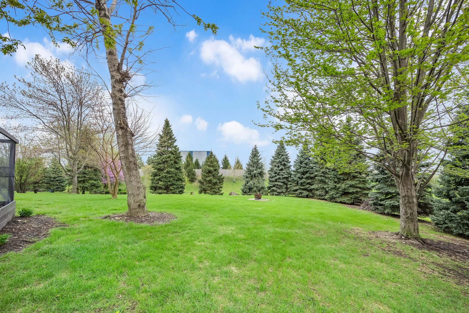 772 Rebecca Lane Bolingbrook, IL 60440 - Photo 26 of 27 a view of a trees with a yard