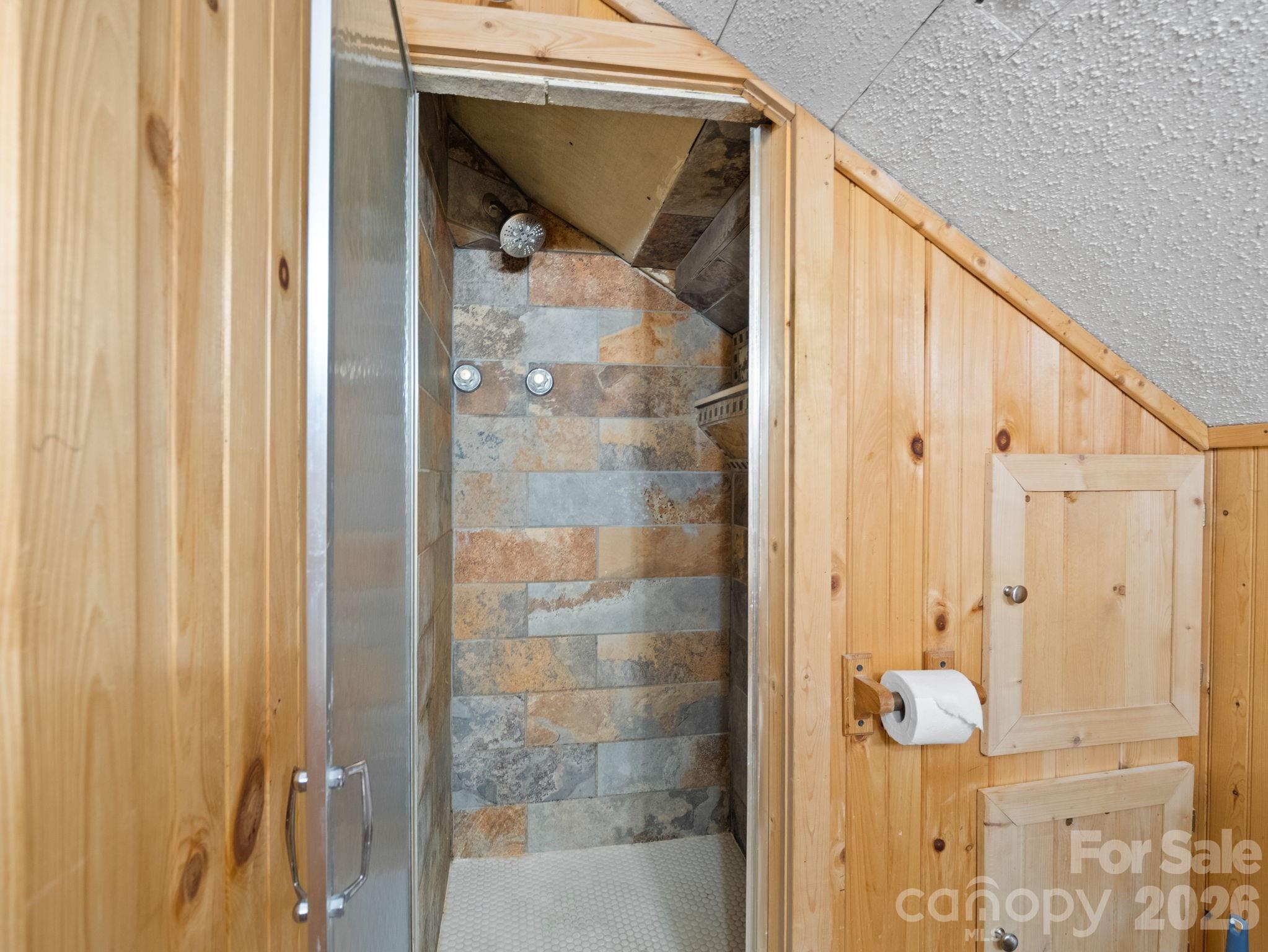 111 Buckeye Road Lake Lure, NC 28746 - Photo 20 of 48 a bathroom with a shower and mirror