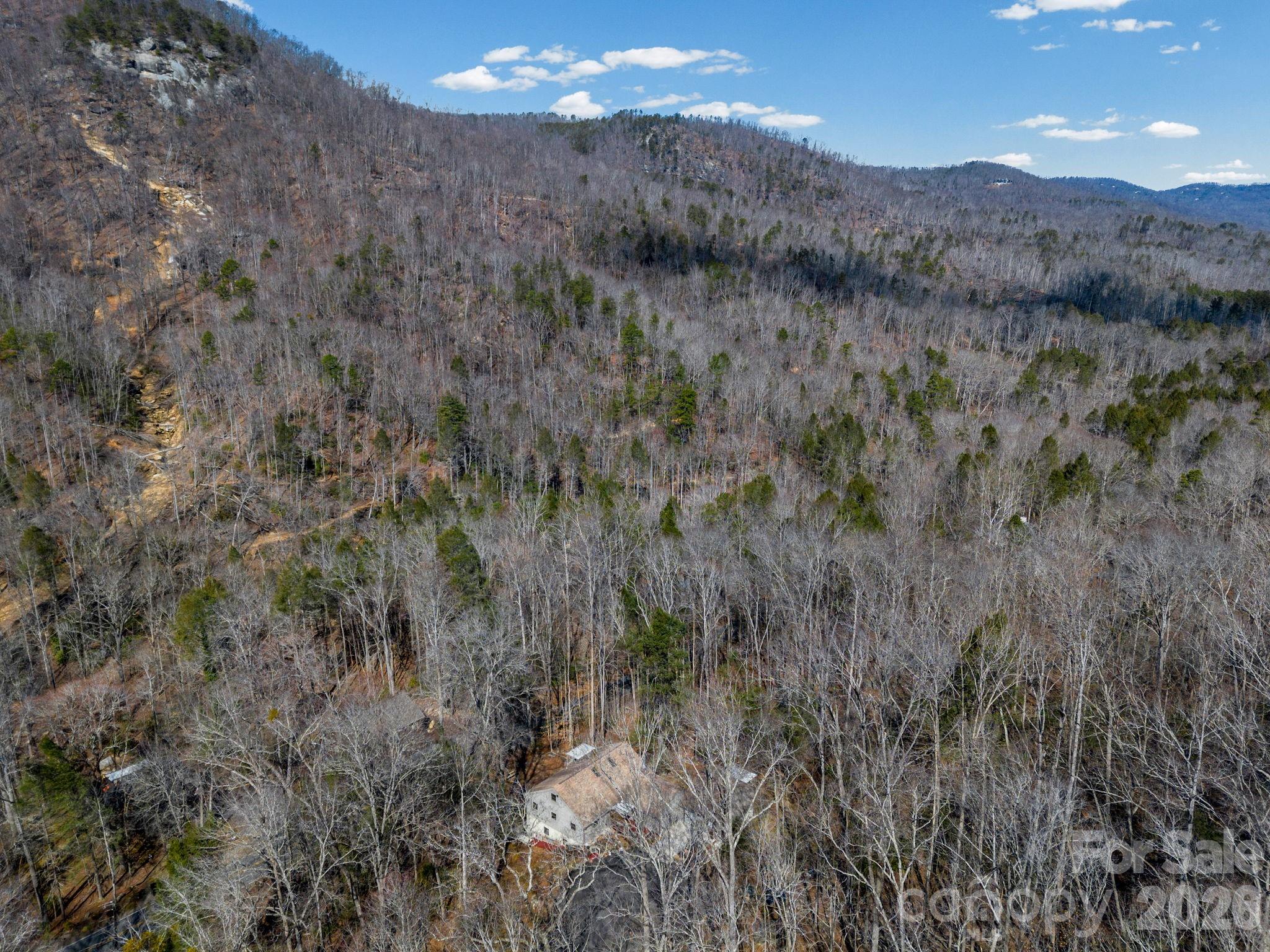 111 Buckeye Road Lake Lure, NC 28746 - Photo 2 of 48 a view of a lush green forest with lush green forest