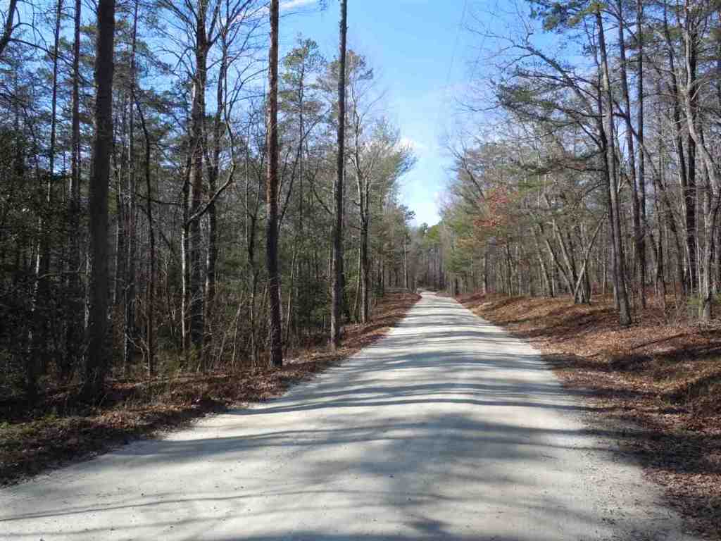 Woodall Shoals Road Mountain Rest, SC 29664 - Photo 4 of 10 Gallery Image 4